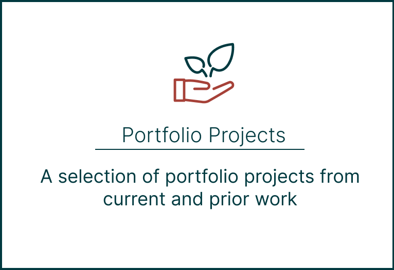 a selection of portfolio projects.